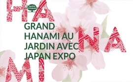 Grand Hanami au Jardin d&#039;Acclimatation à Paris