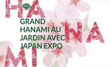 Grand Hanami au Jardin d'Acclimatation à Paris